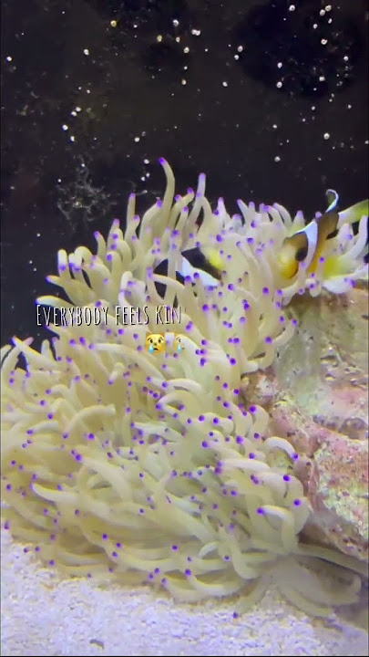 d76ca0e959be0f93f471f5a5743ccc18