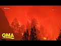 Caldor Fire Forces Thousands More To Evacuate In Northern California L GMA 