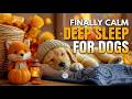 Dog Music for Dogs 🐶 Calming Sleep Music for Separation Anxiety and Stress Relief