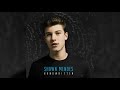 download Shawn Mendes - Imagination (Almost Studio Acapella) - Your EDM Pack download Shawn Mendes - Imagination (Almost Studio Acapella) - Your EDM Pack