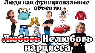 Нарцисс и его жизнь среди инструментов