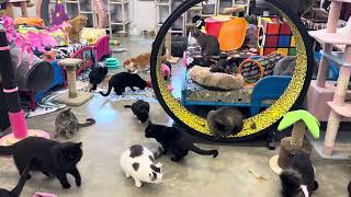 Please Be Nice. We Hear You