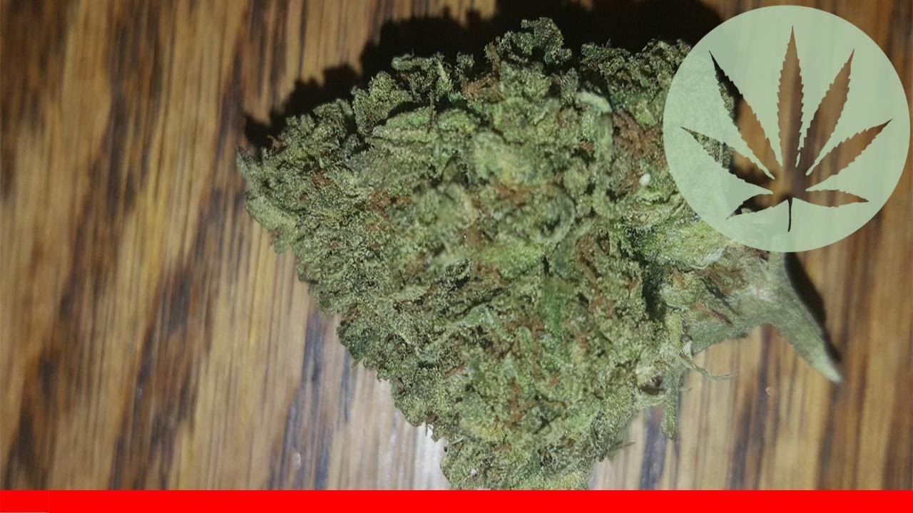 Blackberry Trainwreck - All About This Strain