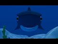Shark animation