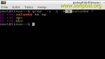 How to display lines after matched pattern in file in Linux