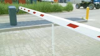 Download Lagu Barten || Impressie NSK Tilburg MP3