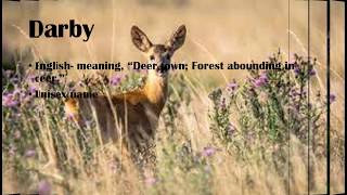 15 Nature, Earth, and herb Baby Girl Names!