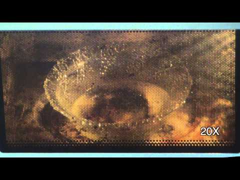 Масло в микроволновке S05E01