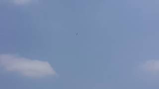 e hawk flight part2
