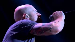 Daughtry - We're Not Gonna Fall Sub