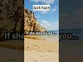 The Truth About Girls: Mind-Blowing Facts!