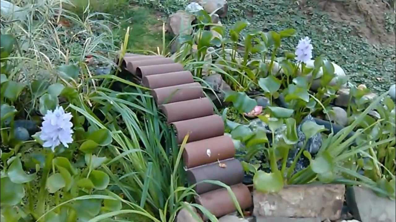 Гиацинт водяной, эйхорния - YouTube