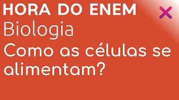 Como as células se alimentam e conseguem energia para viver?