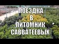 Растения для сада. Едем делать покупки в питомник Савватеевых