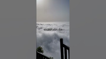 #القرآن (أَفَلَا يَنظرُونَ إِلَى الْإِبِلِ كَيفَ خُلِقَتْ ) سورة الغاشية بصوت القارئ عبد الرحمن مسعد