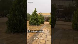 Hashimate University  الجامعة الهاشمية  #عمان #الجامعة_الهاشمية