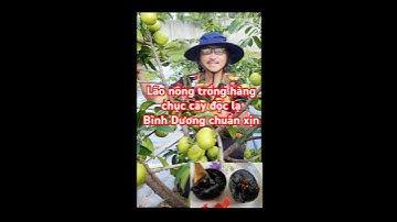 Lão nông trồng thành công hàng chục giống cây độc lạ Bình Dương chuẩn xịn #docla