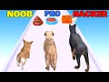 NOOB vs PRO vs HACKER in Animal Run 3D