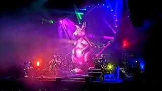 Video thumbnail of "The Australian Pink Floyd - One of These Days, live, Zenith, Paris, 2024"