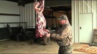 Butchering a Deer 101: Removing the Shoulder