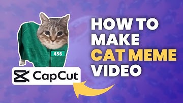 How to Make OIIAOIIA CAT Meme Videos | CAT Meme Video Quick Tutorial