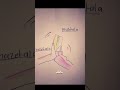 MIDORIII❗💚//draw//||ib: trend||#indahartt#art#drawing#artist#fyppppppppp#trendingshorts