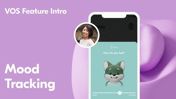 VOS Features - Mood Tracking