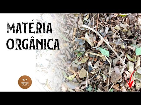 Vídeo: O que é matéria orgânica e por que é importante?