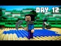 LEGO Minecraft Survival Day 12 (Stop Motion Animation)