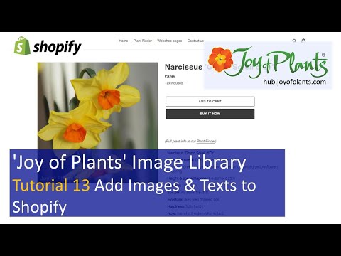 Tutorial 13 - Add JoP Images & Texts to Shopify | Joy of Plants