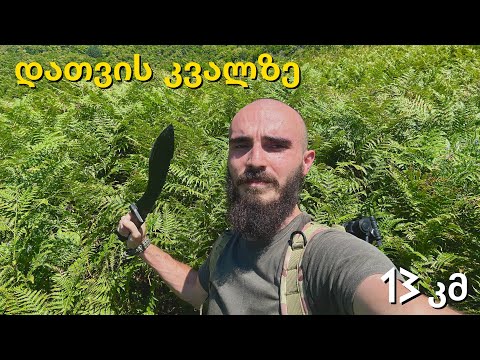 13კმ გაუკვალავ ტყეში - ტაძრის ნანგრევების და იდუმალი ქვის შენობის ძიებაში