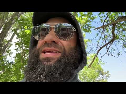 Camp: Cibola National Forest Desert to Carson National Forest Free Camping Taos Region New Mexico
