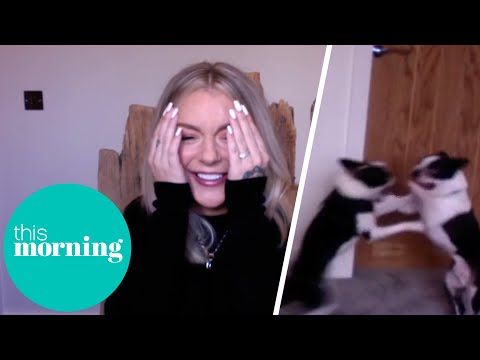 Sheridan Smith Gets Upstaged by Over-Excited Dogs | This Morning
