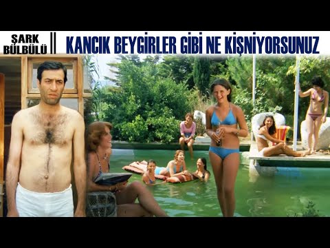 Şark Bülbülü Türk Filmi | AYgır Görmüş Knacık Beygir Gibi Ne Kişniyorsunuz!