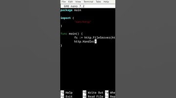 Go Lang HTTP Server, Frame By Frame Edit #coding #http #software #html #fyp #framebyframe