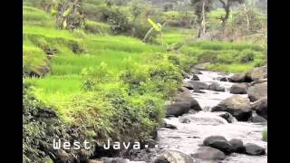 Dini Budiono Food Challenge