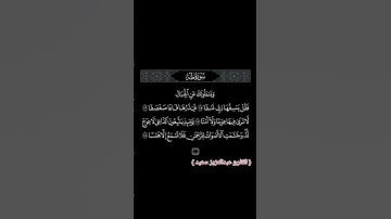 القارئ عبدالعزيز سعيد #ويسألونك_عن_الجبال #سورة_طه #قران_كريم #تلاوة_هادئة #اكسبلور