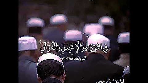 اسلام صبحي حالات واتس اب القرآن الكريم، انتفاضة فلسطين آيات جهاد