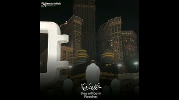 تلاوة تريح القلب للشيخ د. بندر بليلة - أواخر سورة هود😴👌🏻
