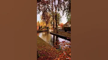 پاییزی رمانتیک رویایی عاشقانه Fall Nice Beautiful رنگارنگ 