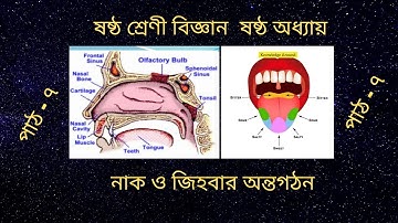 জিহবা ও নাকের অন্তঃগঠন || সংবেদি অঙ্গ || ষষ্ঠ শ্রেণির বিজ্ঞান || Class 6 Science Chapter 6| Biggan