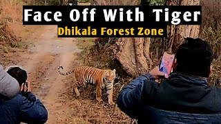 Dhikala Zone Corbett National Park | Dhikala Tiger Safari | Night Stay at Dhikala Forest Rest House