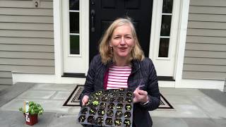 Creative Connections | Leslie Cunningham, Membership Manager