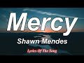 Mercy  - Shawn Mendes (Lyrics)
