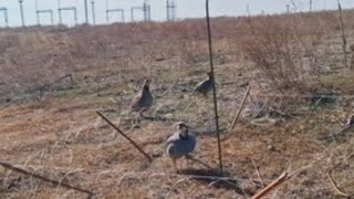 12 ноября 2025 г.