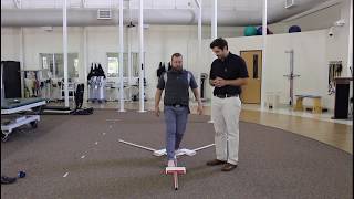 Lower Quarter Y-Balance Test
