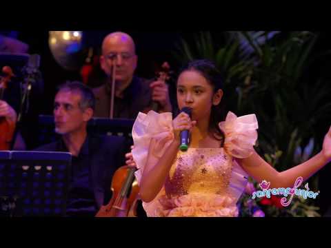 Video: Berapa ramai pemuzik dalam orkestra bilik?