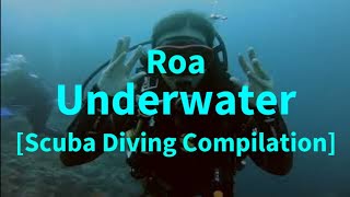 Roa - Underwater  [Scuba Diving Compilation]