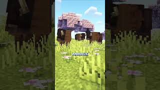 ⏫ Rejoins le Discord en bio ⏫
