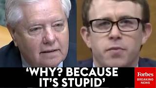 Dont Tell Me Whats Fair And Unfair Graham Grills Immigration Expert Over Obamas Deportations